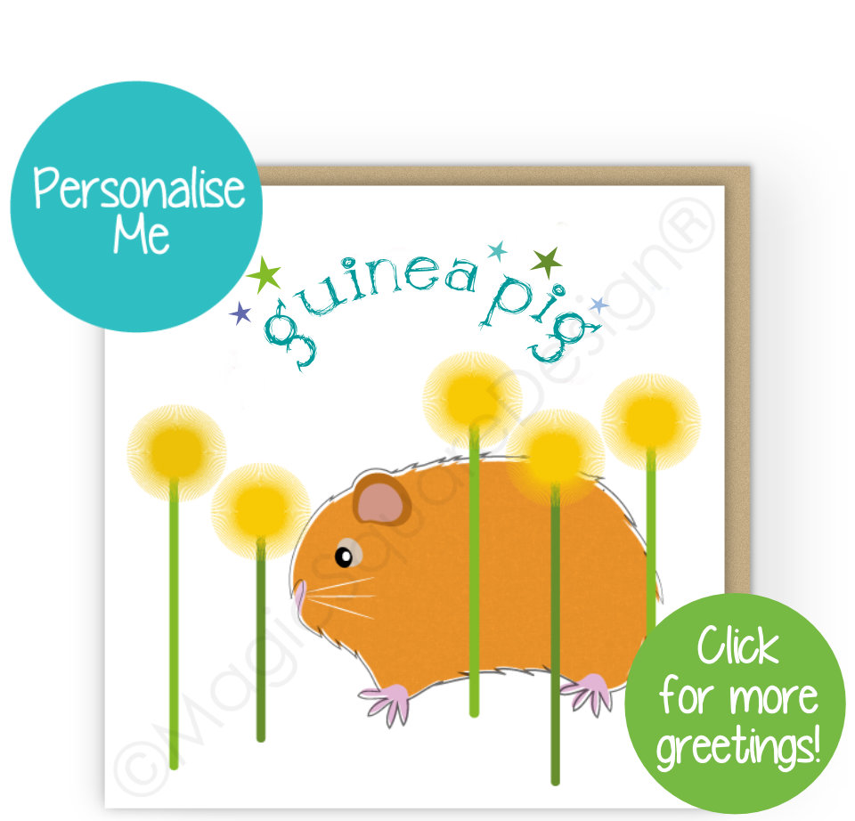 Guinea Pig Stars Greetings Cards